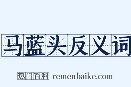 马蓝头反义词是什么意思的图片